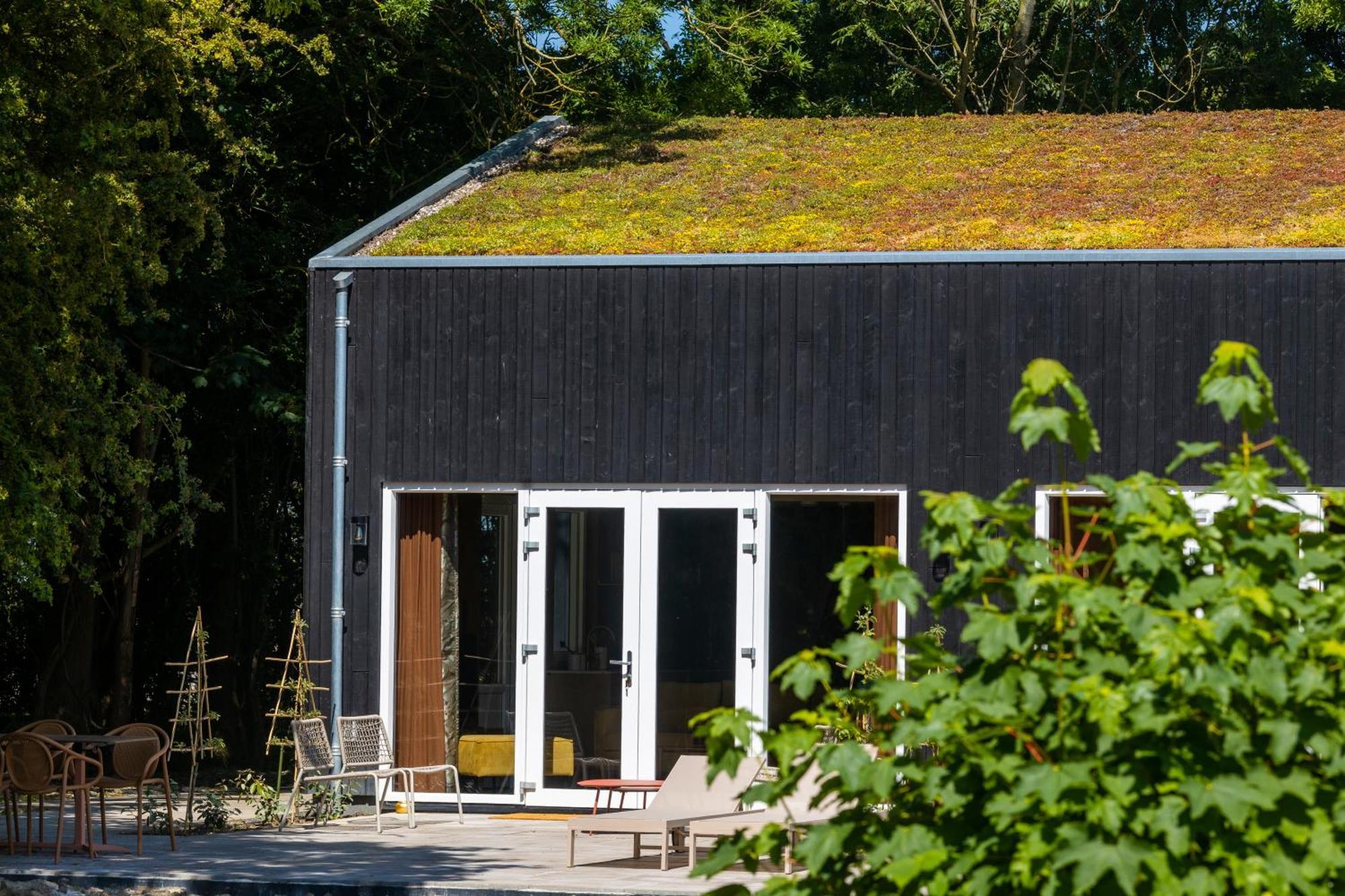 Bungalow met jacuzzi en grote tuin Domburg Buitenkant foto